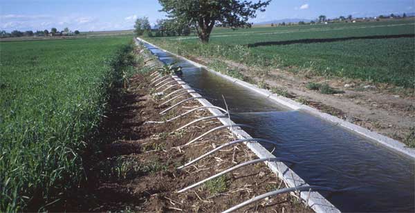 Irrigation