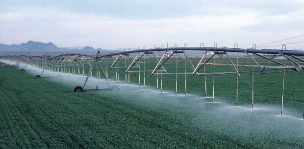 irrigation-efficiency